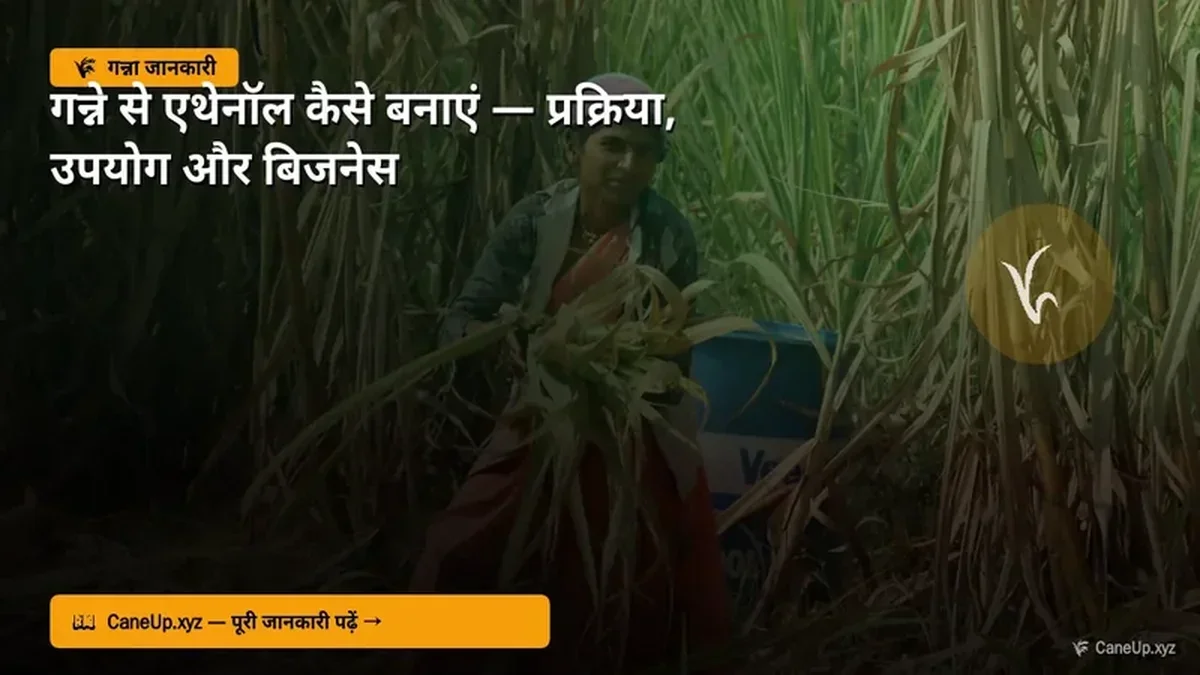 गन्ने से एथेनॉल कैसे बनाएं 2026 — प्रक्रिया, उपयोग और व्यापार