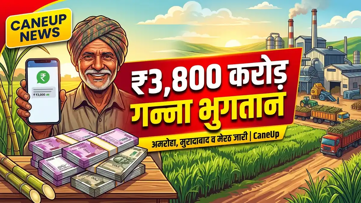 अमरोहा, मुरादाबाद व मेरठ चीनी मिलों ने जारी किया ₹3,800 करोड़ का रिकॉर्ड गन्ना भुगतान! ऐसे चेक करें खाता