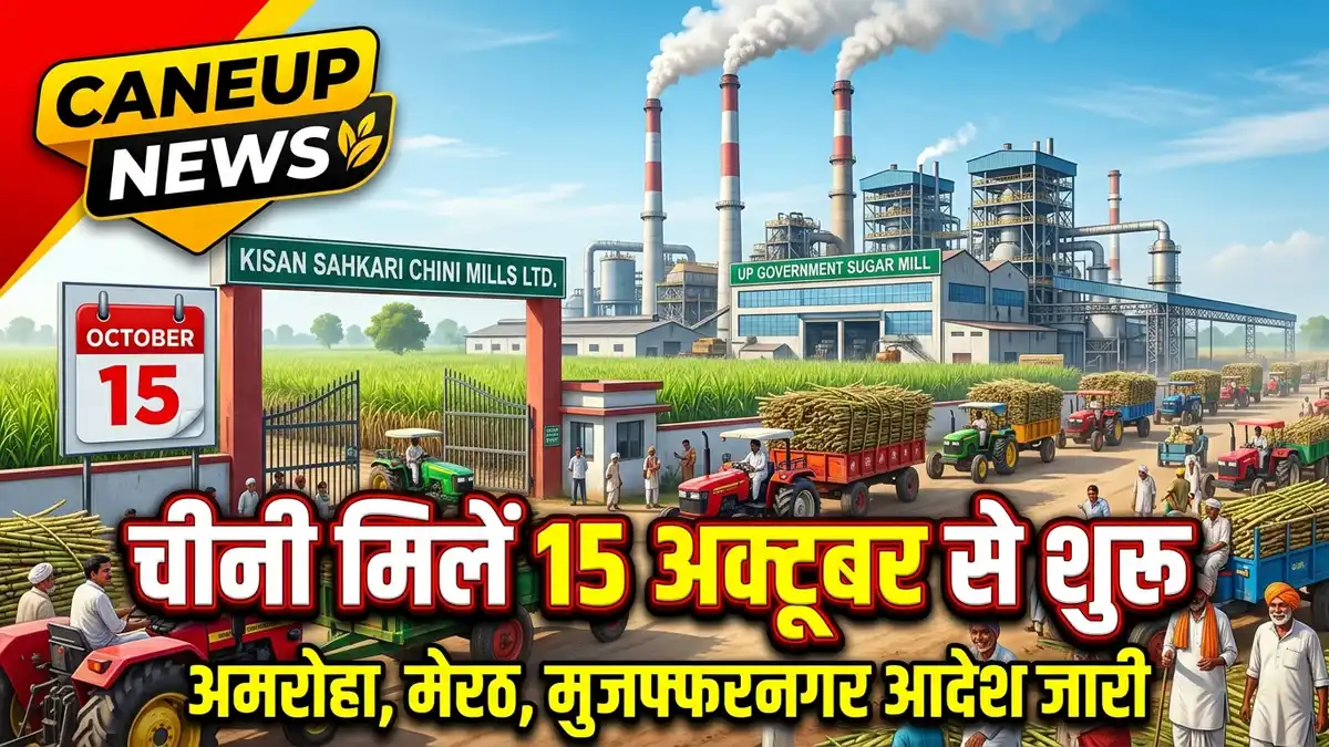 अमरोहा, मुरादाबाद, मेरठ व मुजफ्फरनगर चीनी मिलें 15 अक्टूबर से शुरू! गन्ना आयुक्त का नया आदेश जारी