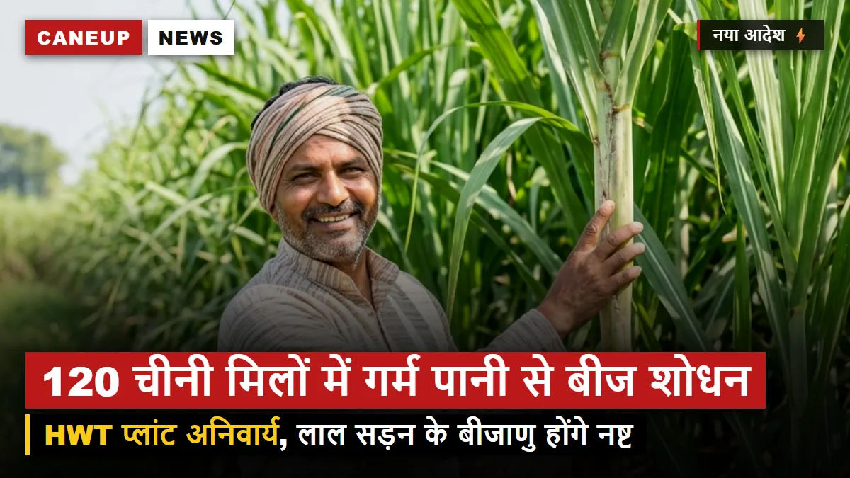 गन्ना बीज शोधन के लिए 120 चीनी मिलों में हॉट वाटर ट्रीटमेंट प्लांट अनिवार्य, लाल सड़न के बीजाणु होंगे नष्ट