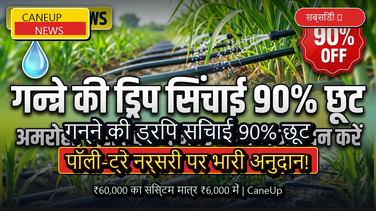 गन्ने की ड्रिप सिंचाई और पॉली-ट्रे नर्सरी पर 90 प्रतिशत सब्सिडी, 60 हजार का सिस्टम मात्र 6 हजार में