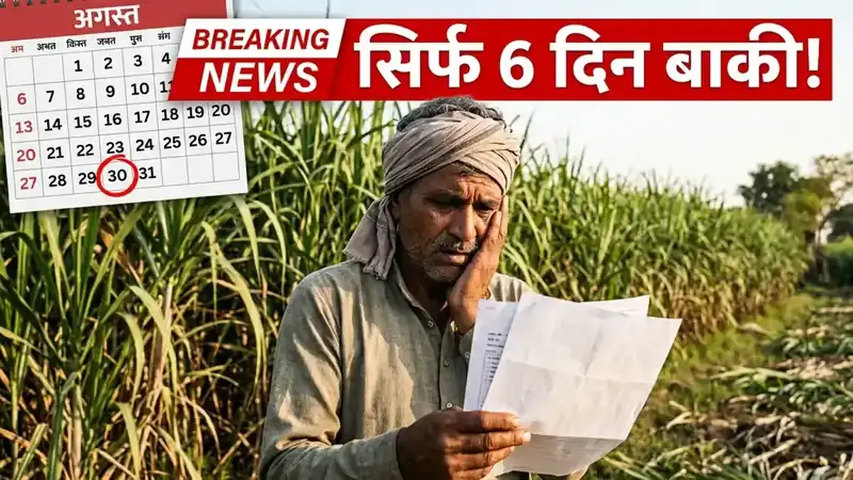 ⚠️ गन्ना सर्वे सुधार की आखिरी तारीख 30 अगस्त — अभी करें वरना पर्ची नहीं मिलेगी!