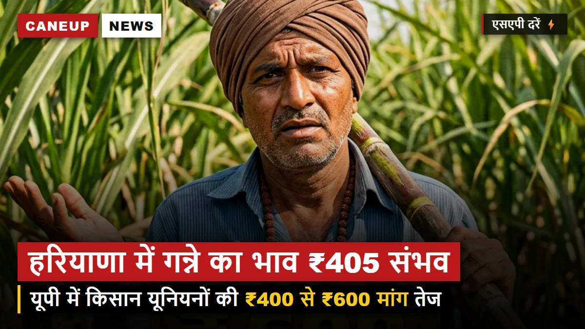 हरियाणा में गन्ने का भाव 405 रुपये करने की तैयारी, यूपी के किसान संगठनों ने एसएपी 400 से 600 रुपये करने की मांग तेज की