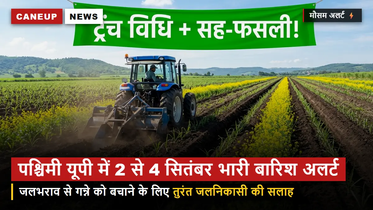 मौसम विभाग का अलर्ट — पश्चिमी यूपी में 2 से 4 सितंबर तक भारी बारिश, जलभराव से गन्ने को बचाने की सलाह