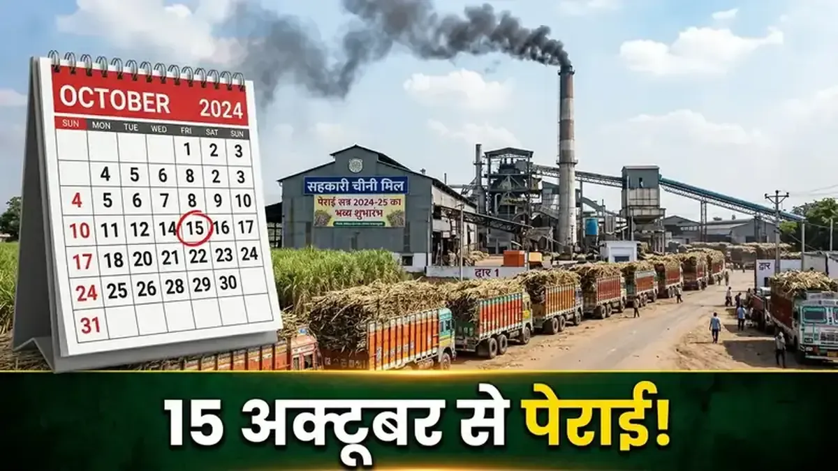 पेराई 15 अक्टूबर 2026 से पक्का — CM योगी ने दिया strict deadline, किसान अभी करें ये 5 काम