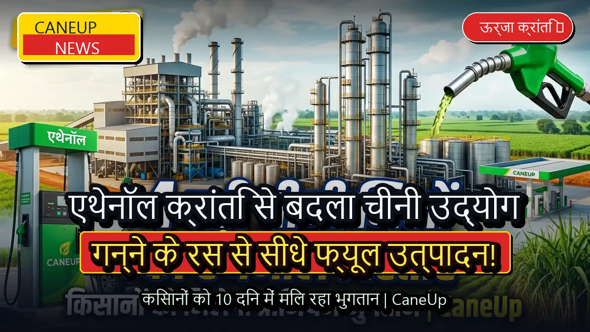 एथेनॉल से बदला चीनी उद्योग का अर्थशास्त्र, गन्ने के रस से सीधे फ्यूल उत्पादन और 10 दिन में भुगतान