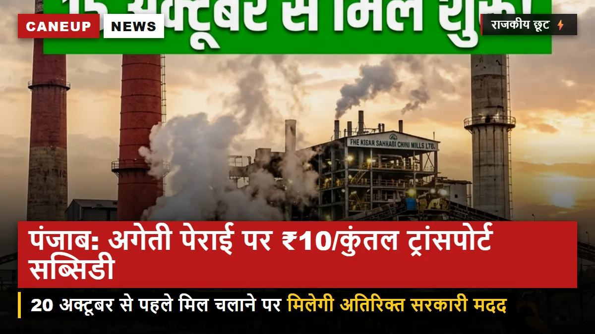 पंजाब सरकार का बड़ा फैसला — 20 अक्टूबर से पहले पेराई शुरू करने वाली मिलों को ₹10/कुंतल ट्रांसपोर्ट सब्सिडी