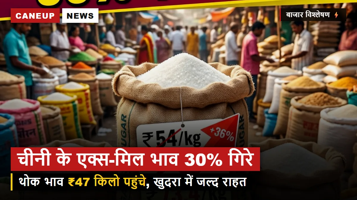 चीनी के एक्स-मिल भाव में 30 प्रतिशत की भारी गिरावट, 47 रुपये किलो पहुंचे दाम, खुदरा बाजार में जल्द दिखेगा असर