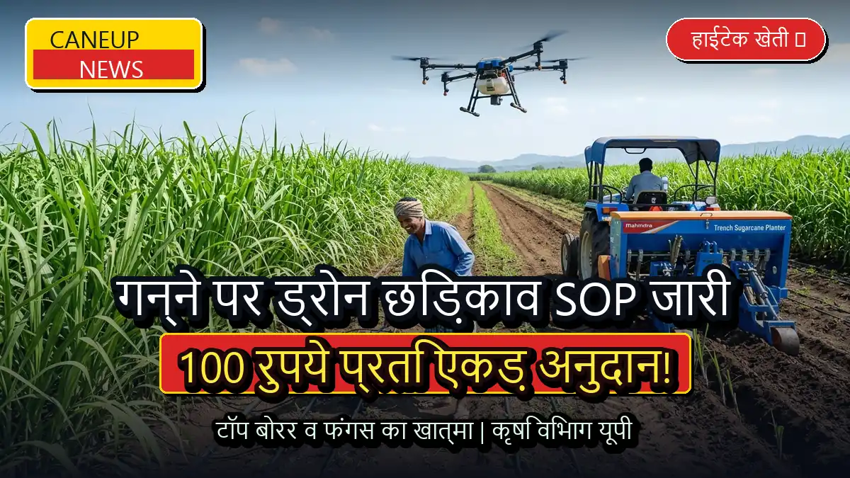 पश्चिमी यूपी में गन्ने पर ड्रोन छिड़काव के लिए SOP जारी, टॉप बोरर नियंत्रण हेतु 100 रुपये प्रति एकड़ अनुदान